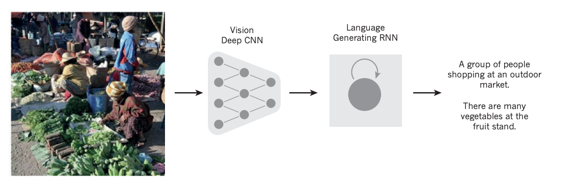 vision-language