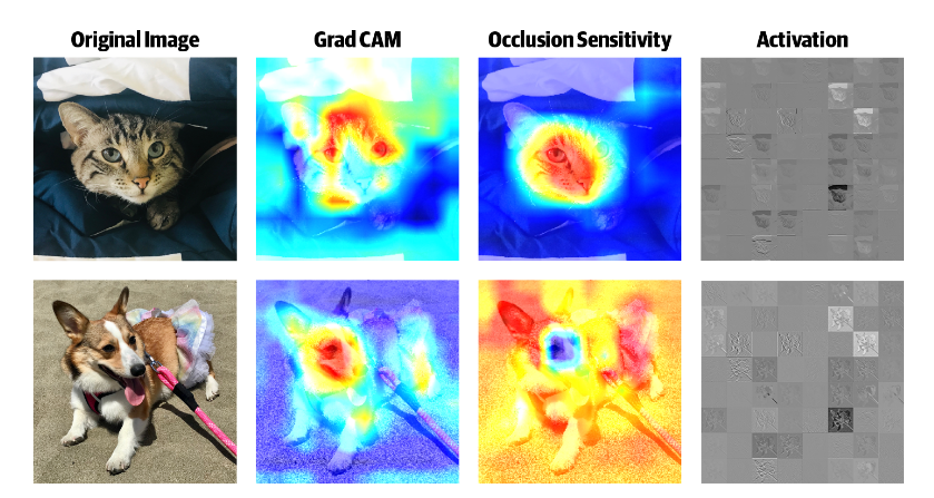 gradcam-occlusion-sensitivity