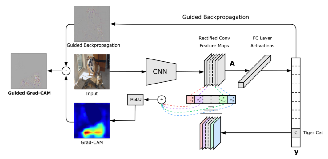 gradcam