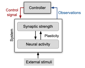 Hebbian-Homeostatic-Plasticity