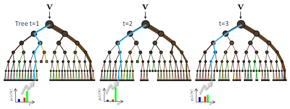 classification-forest-testing