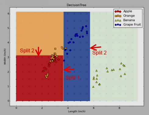 fruit-split-2